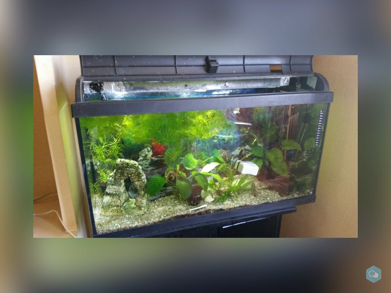 Acuario de 100 litros y mueble 2