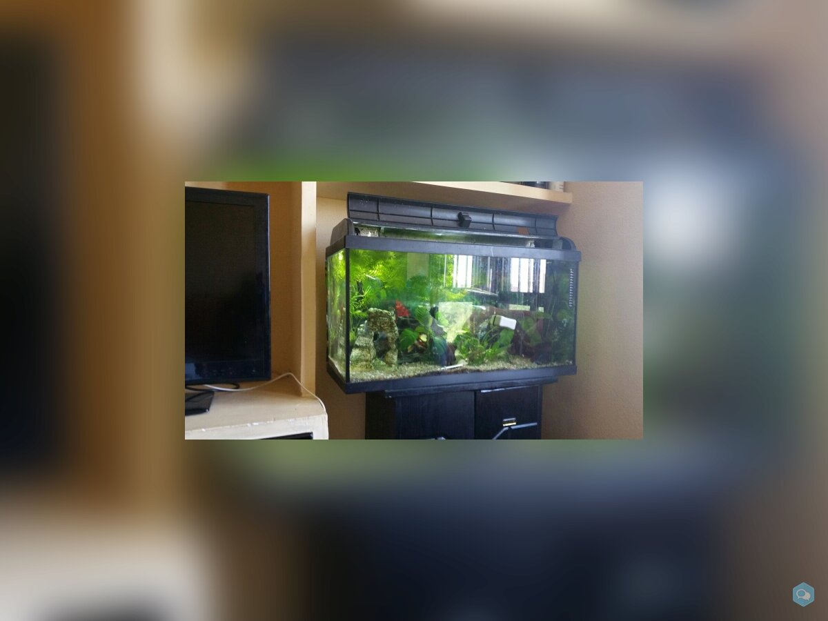 Acuario de 100 litros y mueble 3