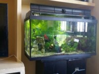 Acuario de 100 litros y mueble 3