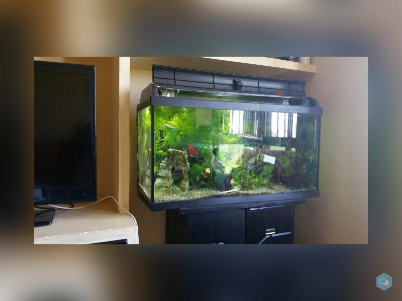 Acuario de 100 litros y mueble 3