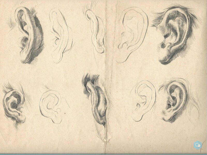 dessiner une oreille, Editions S.BORNEMANN 1