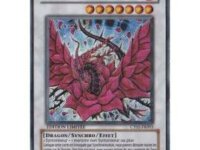 lot  Yu-Gi-Oh Dragon Rose Noire, Rare Ct05-Fr003 1