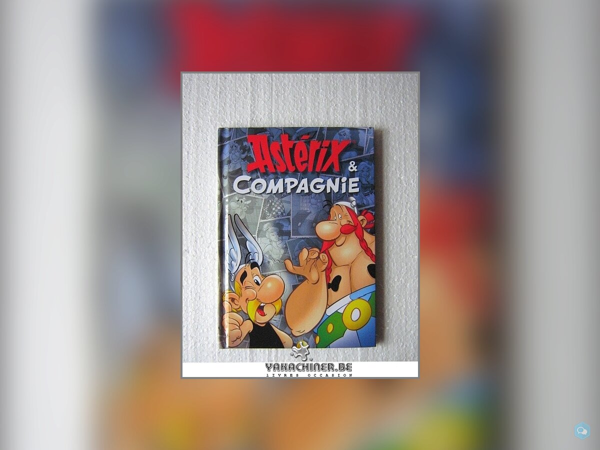 Astérix et compagnie 1