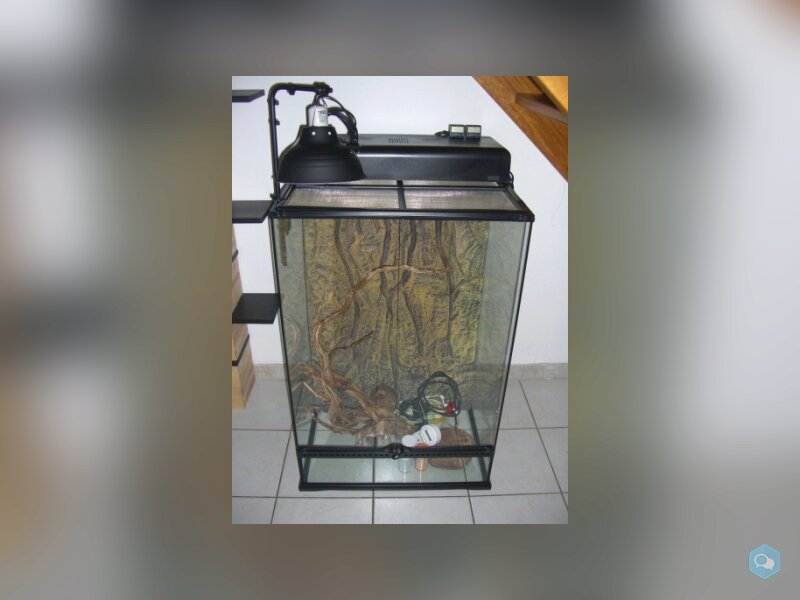 Vivarium Terrarium Exoterra équipé 90x60x45 1