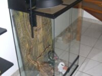 Vivarium Terrarium Exoterra équipé 90x60x45 2