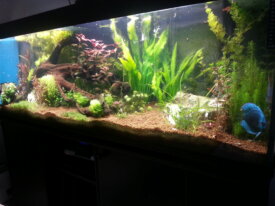 Aquarium 600 litres