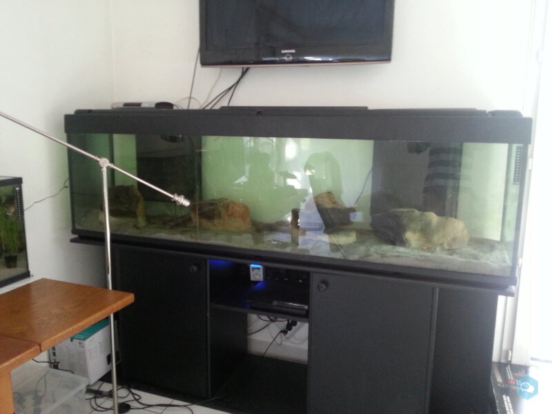 Aquarium 600 litres 3