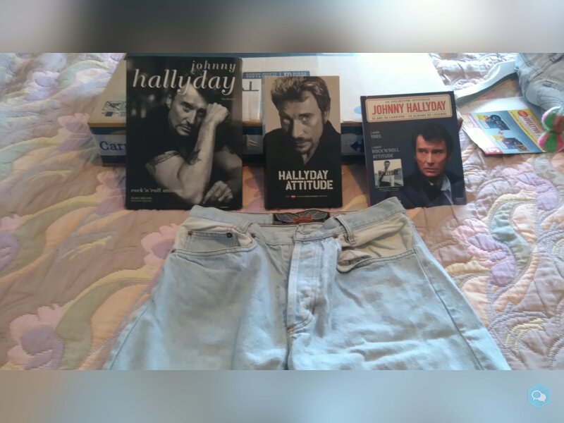 SHORT JOHNNY HALLIDAYEN JEAN : WEST 1