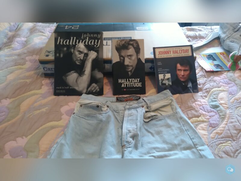 SHORT JOHNNY HALLIDAYEN JEAN : WEST 2