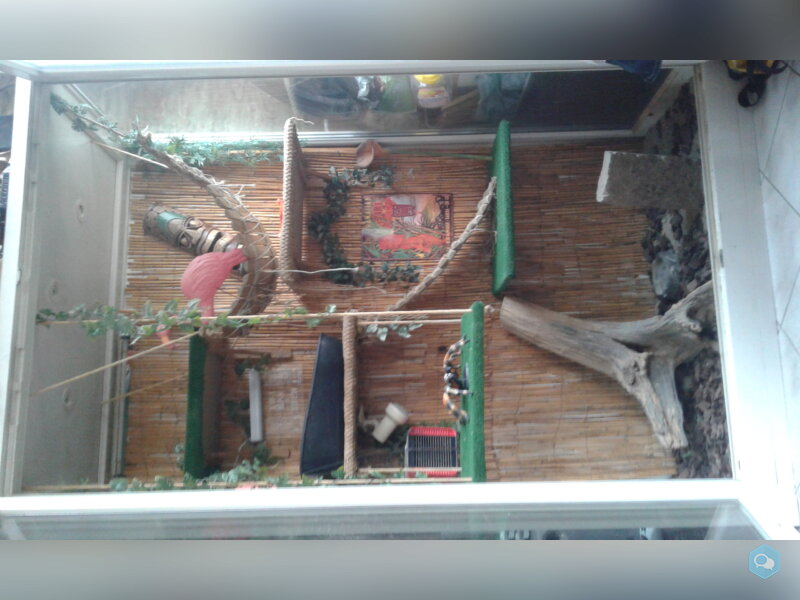 Vends grand terrarium L 160 x l 90 x h 240 1