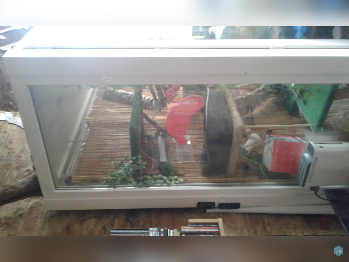 Vends grand terrarium L 160 x l 90 x h 240 6