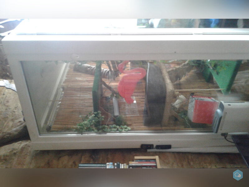 Vends grand terrarium L 160 x l 90 x h 240 6