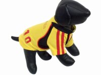 MANTEAU JAUNE CHIEN 1