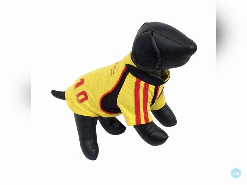 MANTEAU JAUNE CHIEN 1