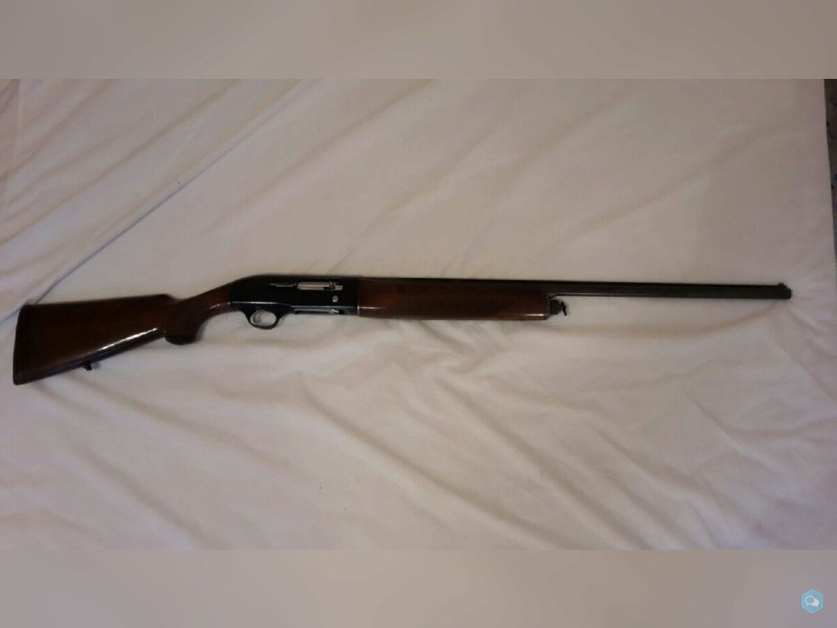 [vends] Beretta 301 cal 20Mag 1