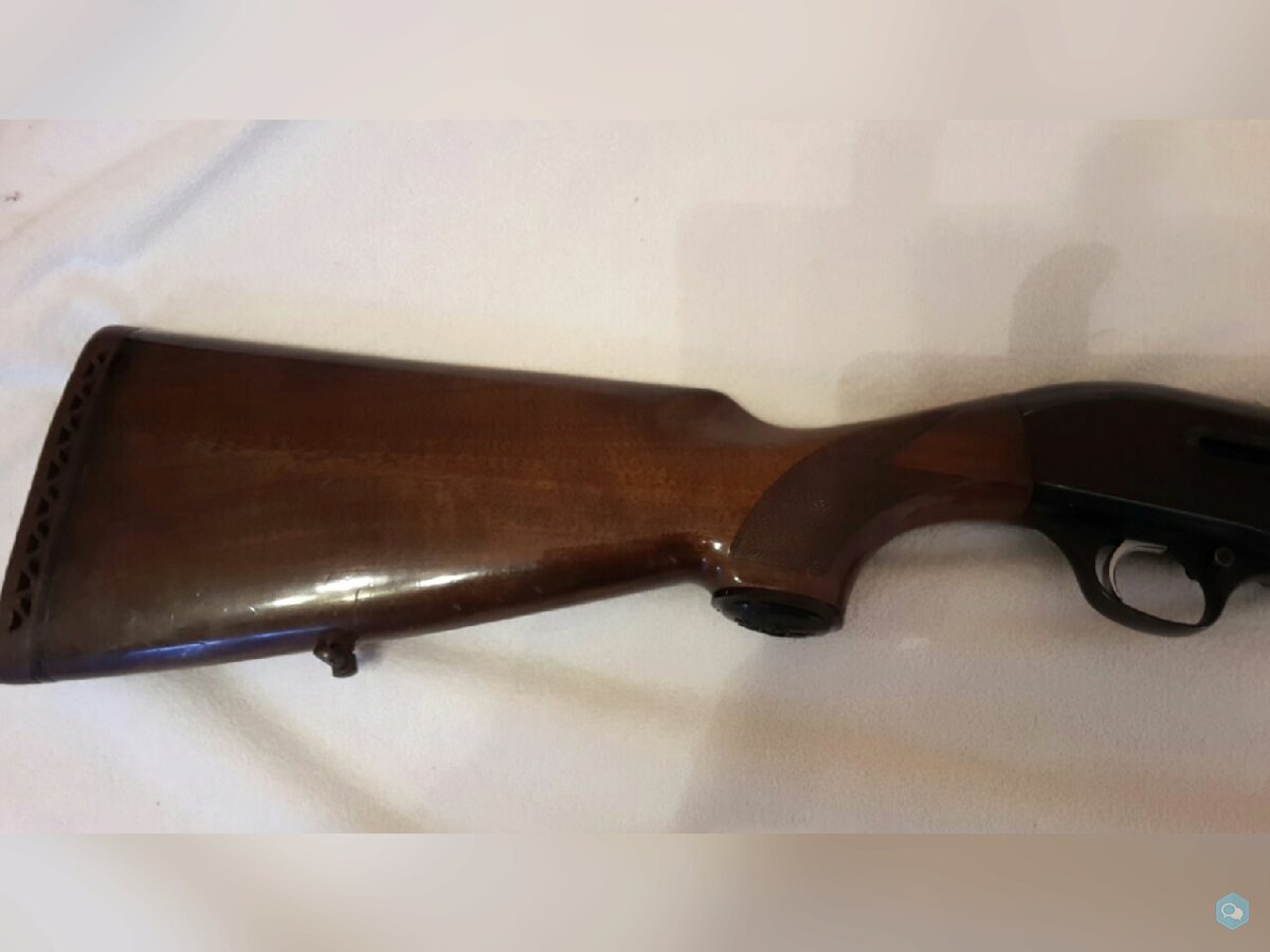 [vends] Beretta 301 cal 20Mag 2