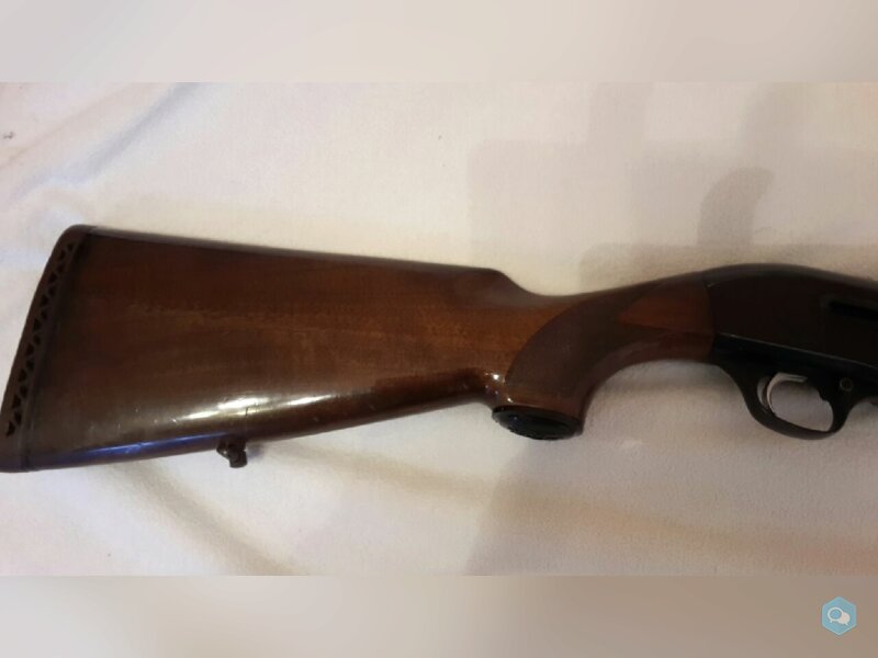 [vends] Beretta 301 cal 20Mag 2