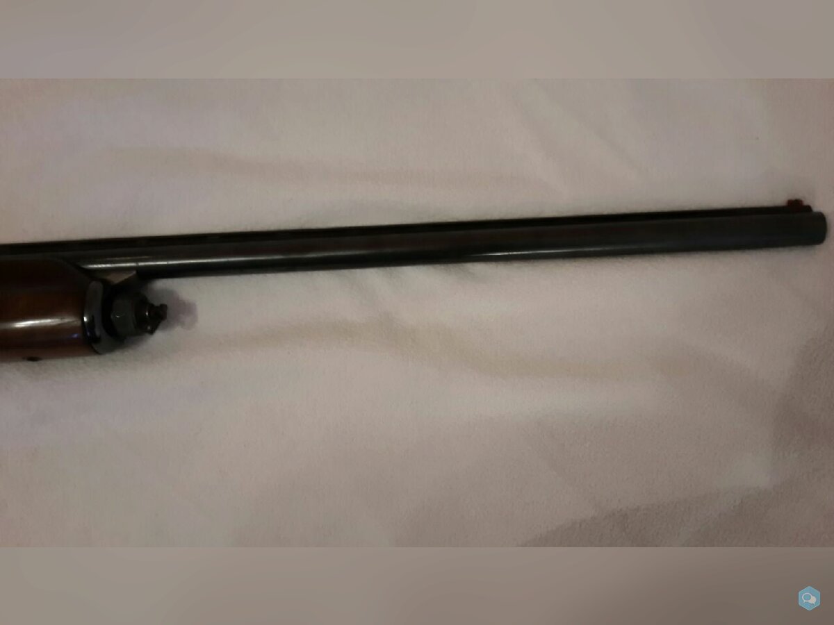 [vends] Beretta 301 cal 20Mag 3