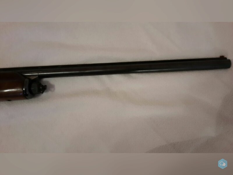 [vends] Beretta 301 cal 20Mag 3