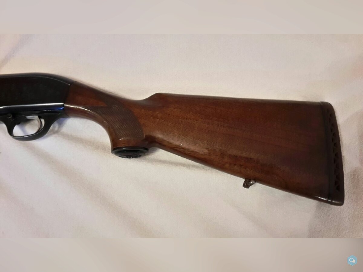 [vends] Beretta 301 cal 20Mag 5