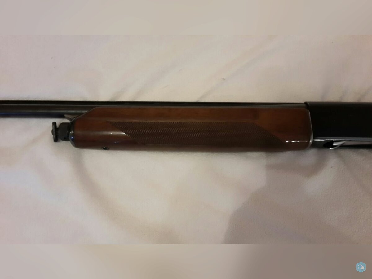 [vends] Beretta 301 cal 20Mag 6