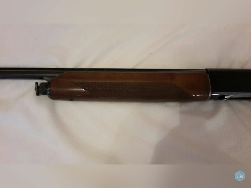 [vends] Beretta 301 cal 20Mag 6