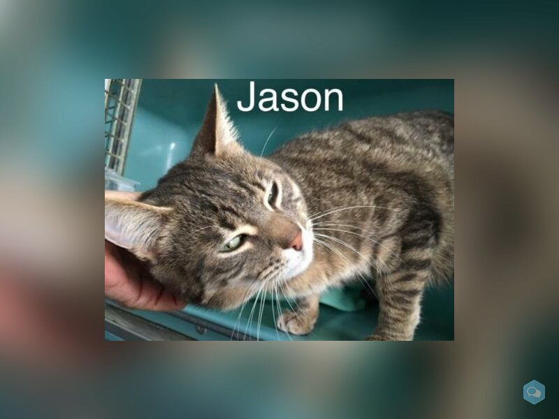 Jason 1