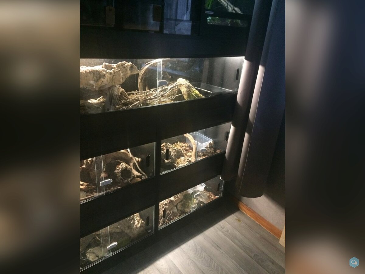 [VENDS] Divers Terrariums 1