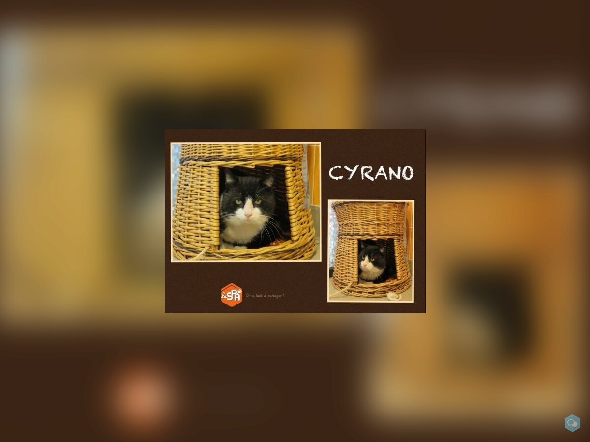 Cyrano 1