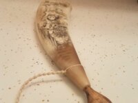 Scrimshawed flat horn for sale 2