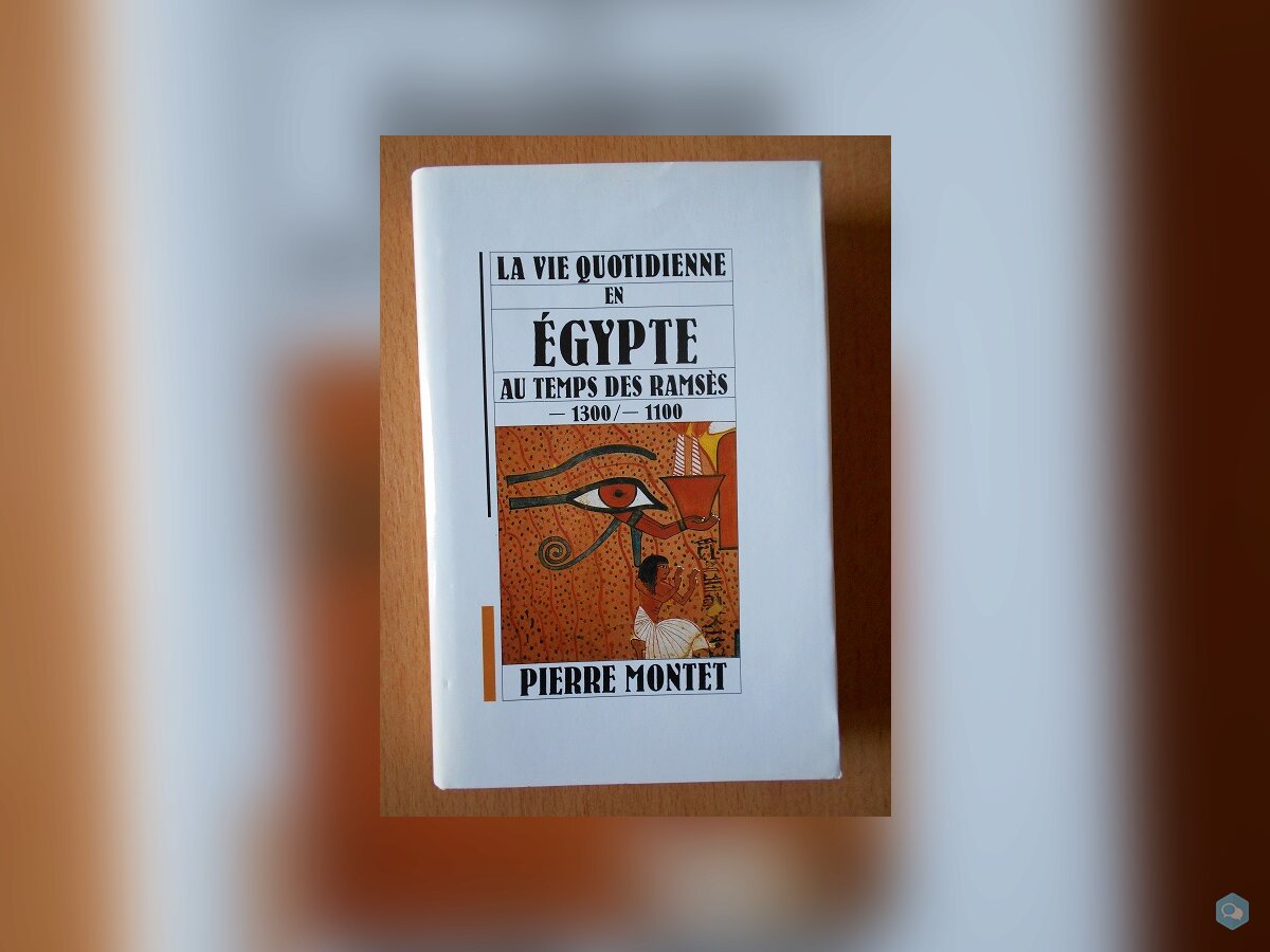La Vie Quotidienne en Egypte (Pierre Montet) 1