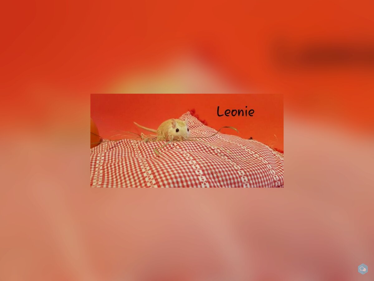 Leonie 1