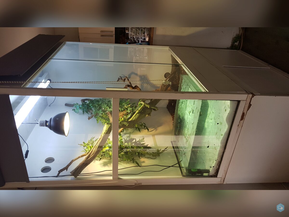 Terrarium sur mesure 1m20x1m50 1