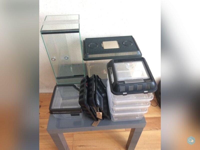 Lot Breeding box + Terrarium 20x20x40 2