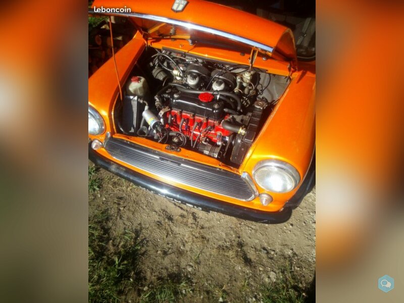 Mini Orange 1