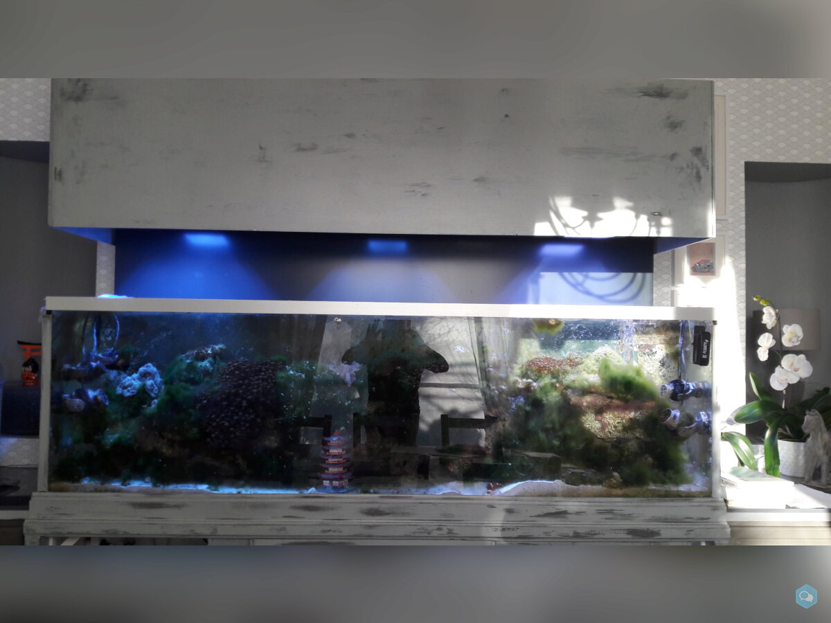 Aquarium eau de mer 600 l équipé en service 1