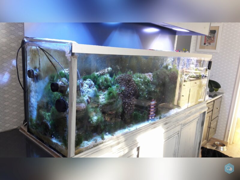 Aquarium eau de mer 600 l équipé en service 3