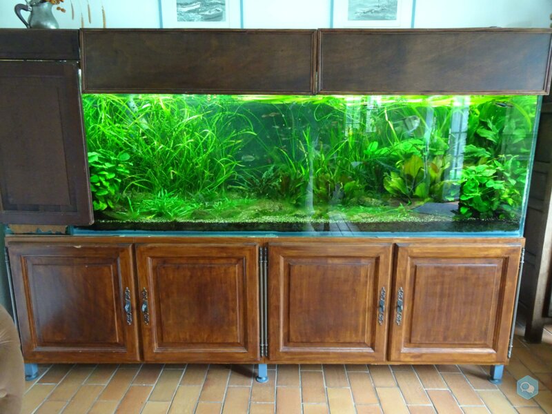 aquarium 1000l 1