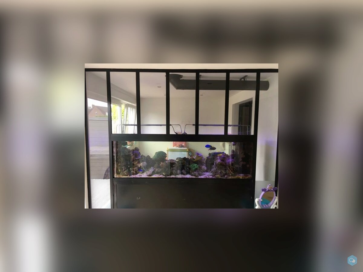 Vends Aquarium 550L 1