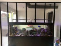 Vends Aquarium 550L 1