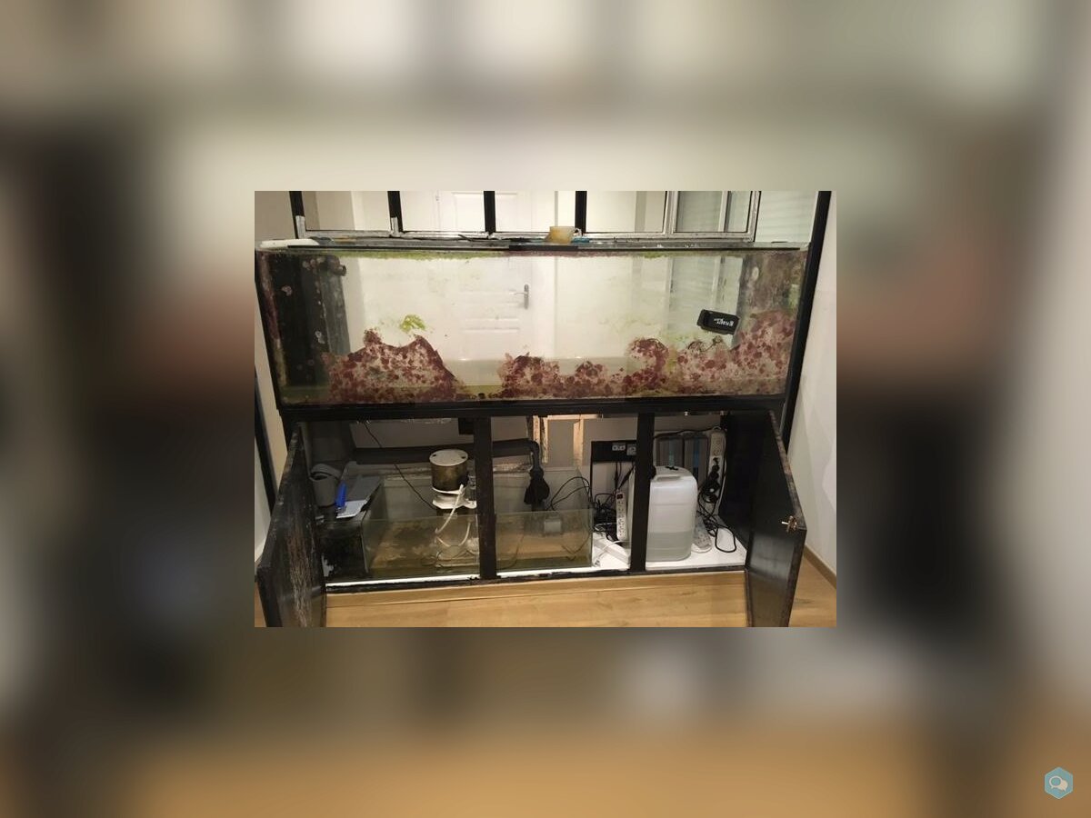 Vends Aquarium 550L 3