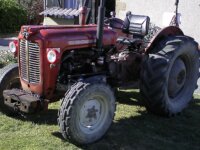 massey 37  1