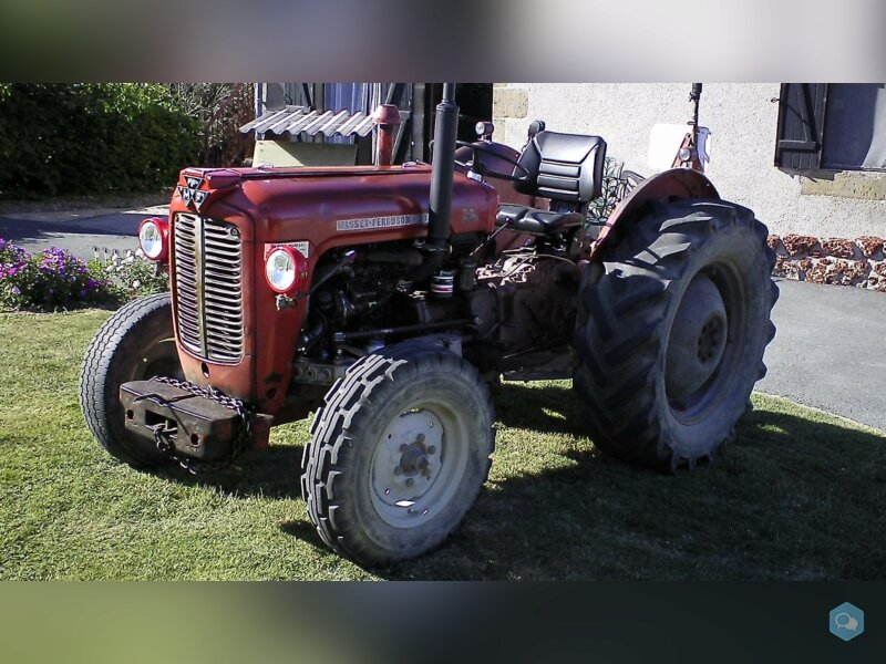 massey 37  1