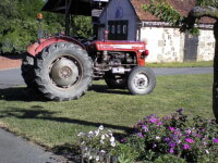 massey 37  2