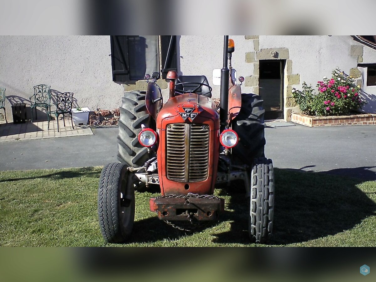 massey 37  4