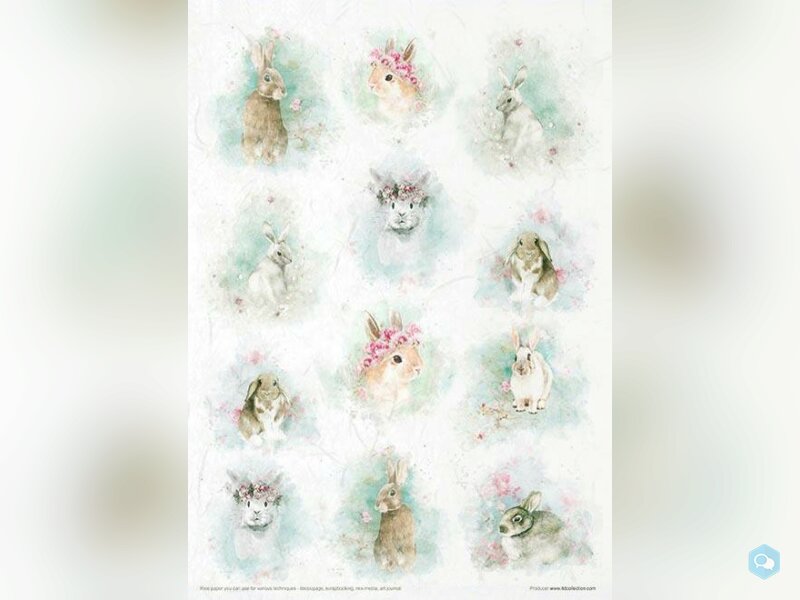 ITD COLLECTION • RS021 Shabby Chic for spring 4