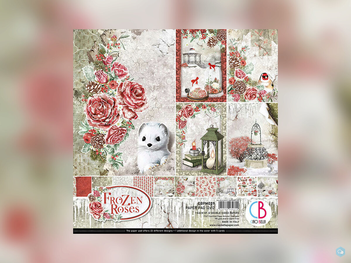 CIAO BELLA • Frozen Roses 12p 1