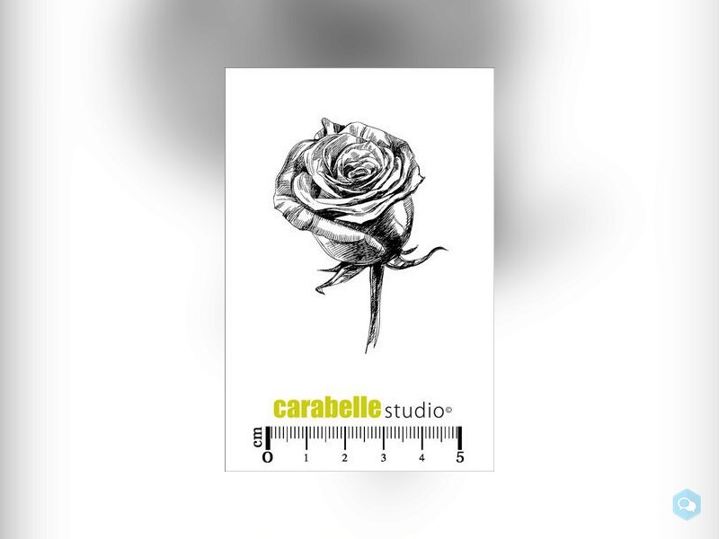 Carabelle Studio • Cling Stamp Mini 7 2