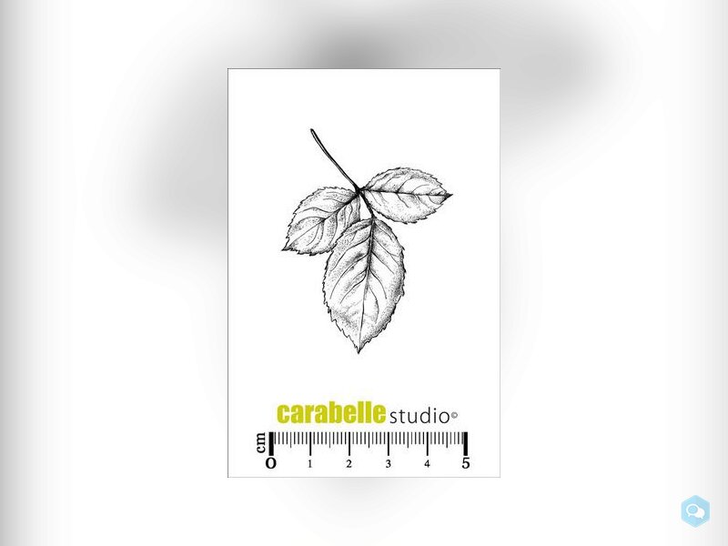 Carabelle Studio • Cling Stamp Mini 11 6