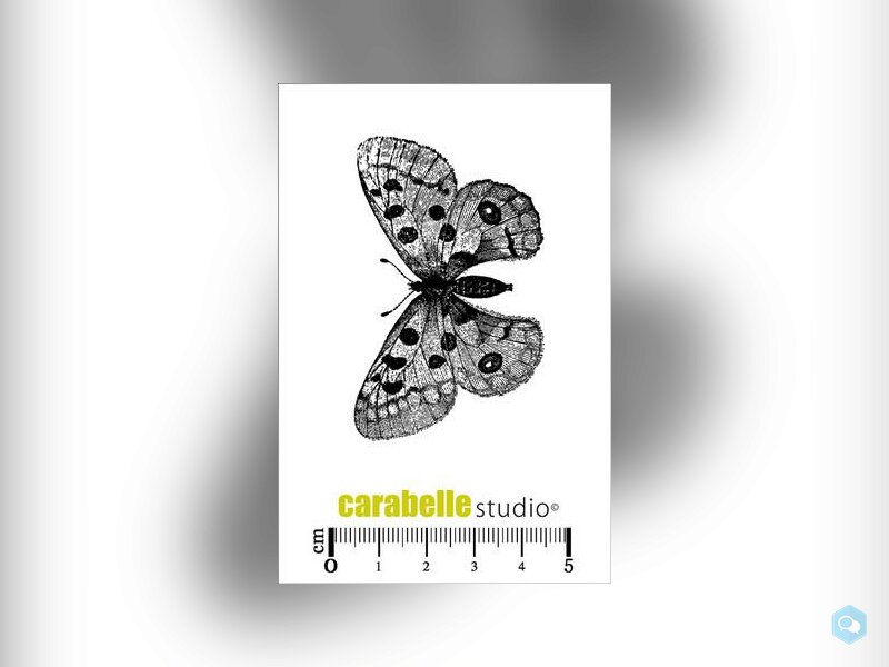 Carabelle Studio • Cling Stamp Mini 12 1